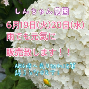 2B977B6B-4943-4341-B132-FA1146514592.jpeg