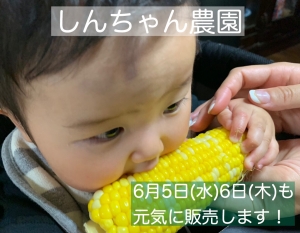 66338A03-8C98-42FD-B346-E2504B214C30.jpeg