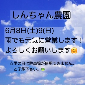 790F5C51-3122-49EB-817C-28753E94DC00.jpeg