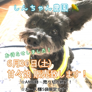 8FF935DB-BCCE-42DC-BD1E-339B1355A750.jpeg