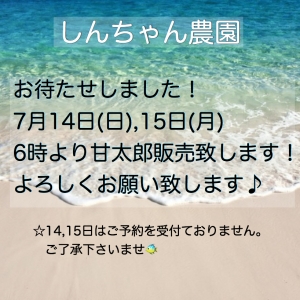 931341E8-8B95-44F1-904D-4227F1D77AB6.jpeg