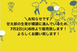 AED59B0D-2101-481F-B9C2-CFFD95ABD02C.jpeg