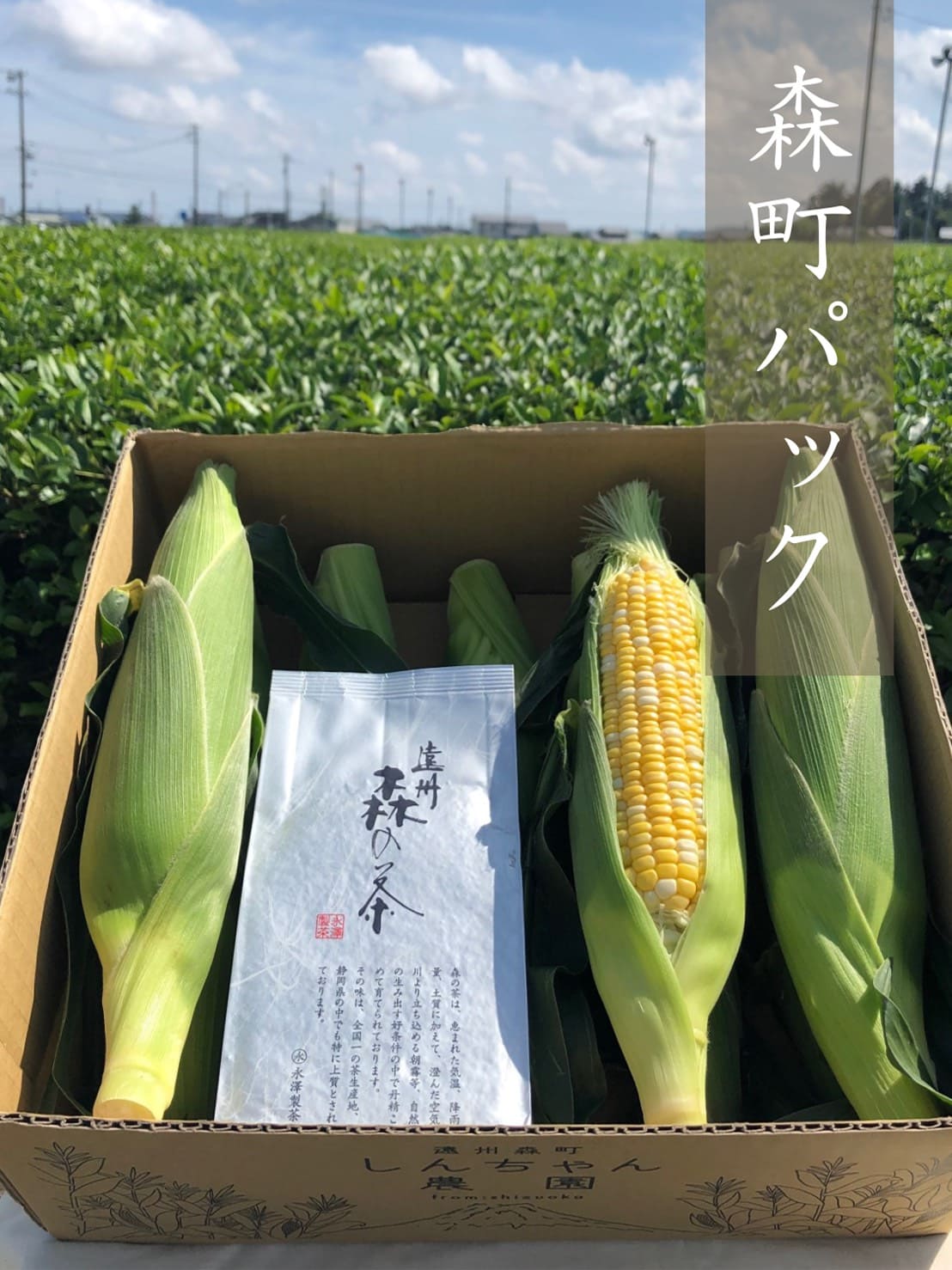 とうもろこし 森町パック