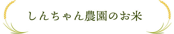 しんちゃん農園のお米