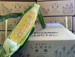 とうもろこし